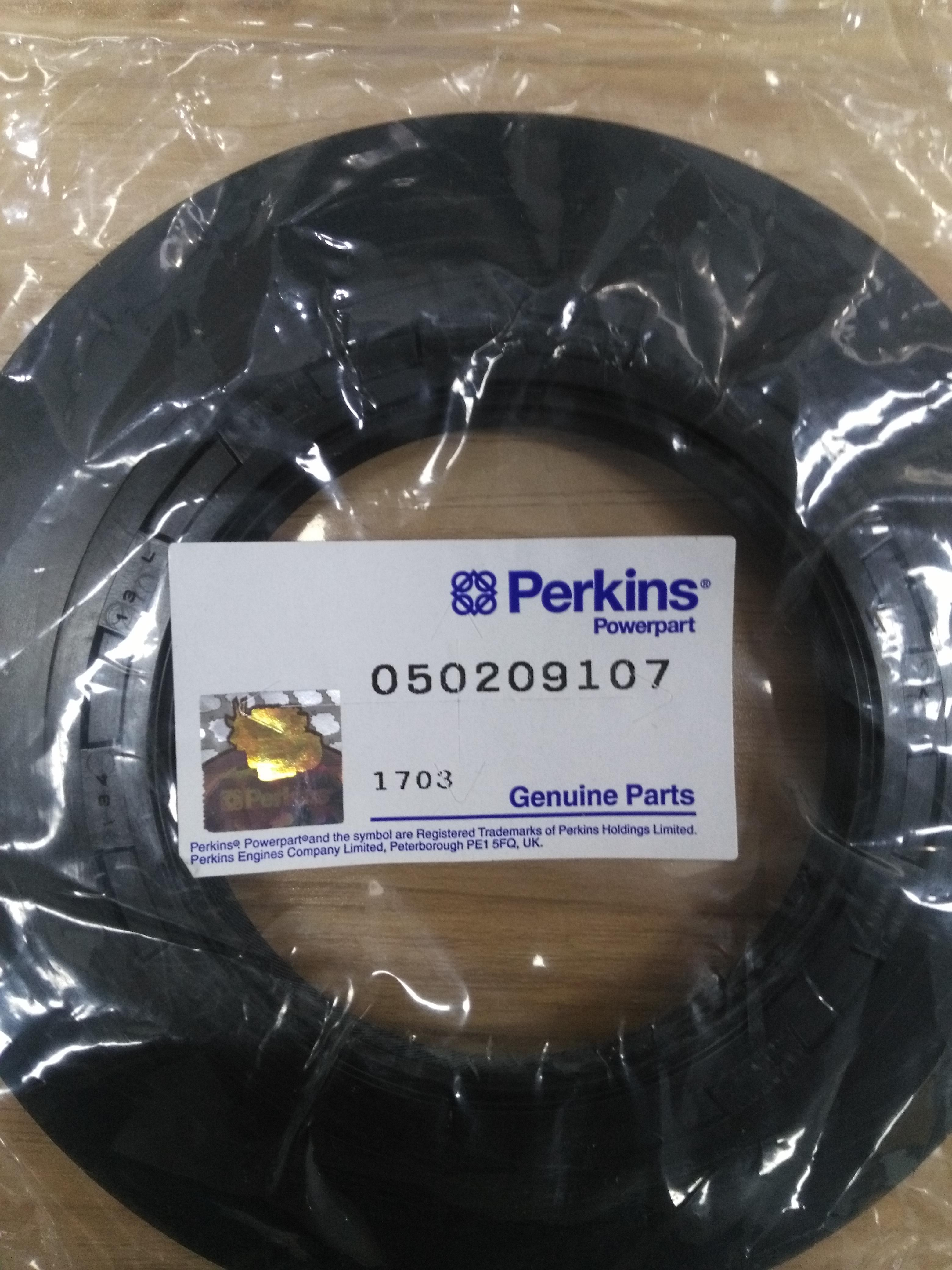 Perkins 050209107 密封件 - 后端油